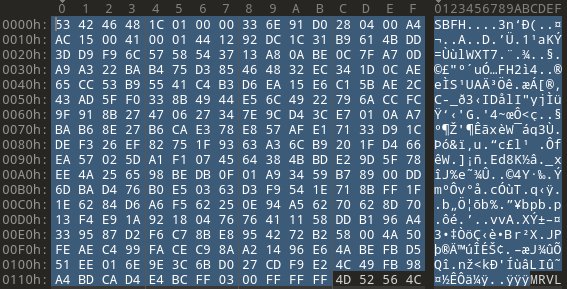 firmware-file-header